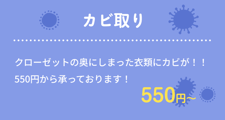 クローゼットの奥にしまった⾐類にカビが！！550円から承っております！